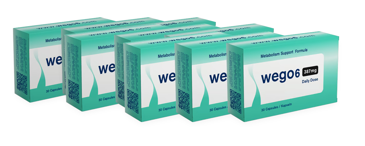 Wego6